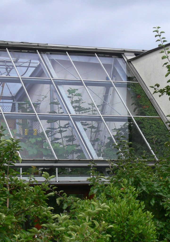 rénovation véranda polycarbonate